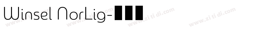 Winsel NorLig字体转换
